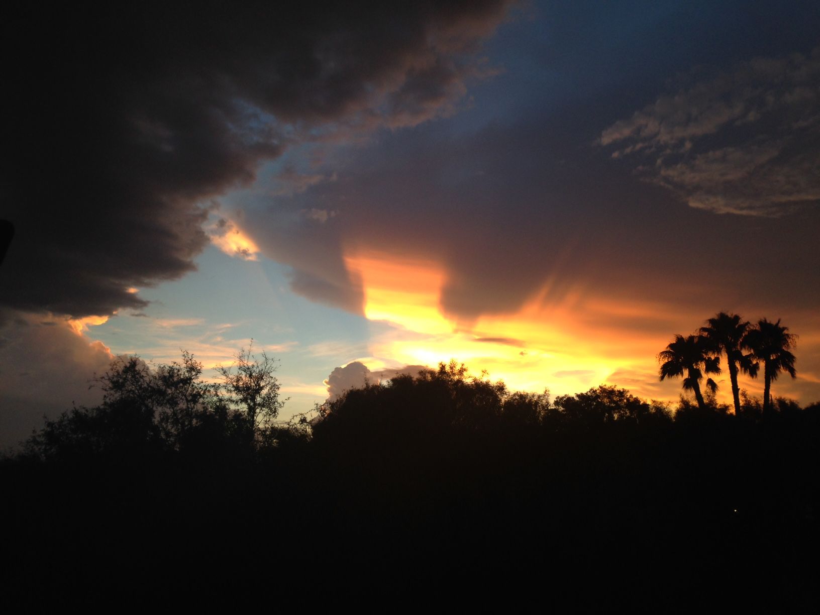 Monsoon Sky